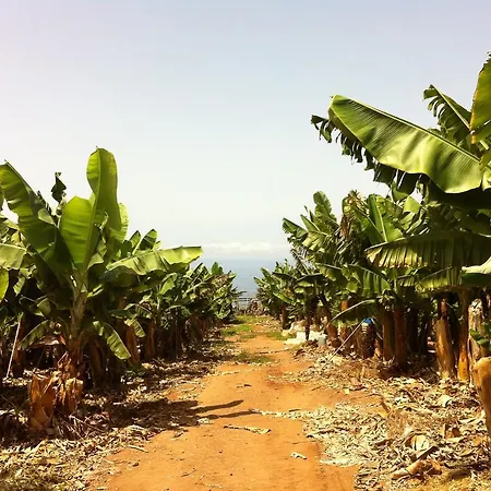 H.R.C Tio Medina Гиа-де-Исора