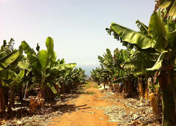 H.R.C Tio Medina Гиа-де-Исора